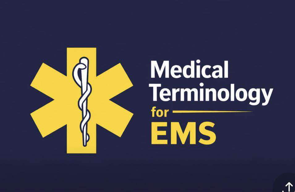 Screenshot Medical Terminology for EMS